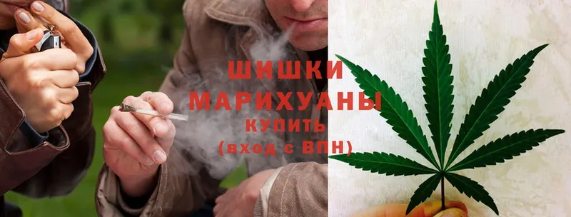 это клад  продажа наркотиков  Куровское  Бошки марихуана Amnesia 